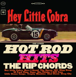 The Rip Chords - surf rock band photo