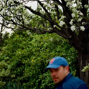 Jeff Rosenstock - folk punk band photo