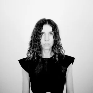 PJ Harvey - art pop band photo