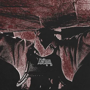 Die Trying - hardcore band photo