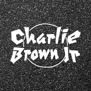 Charlie Brown Jr. - brazilian rock band photo