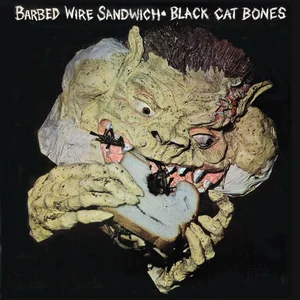 Black Cat Bones - blues rock band photo