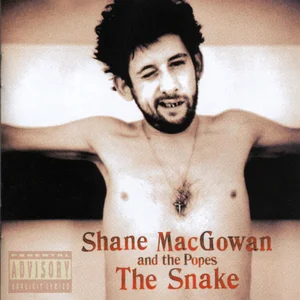 Shane MacGowan & The Popes - celtic punk band photo