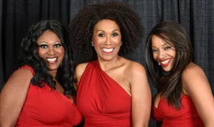 The Pointer Sisters - disco band photo