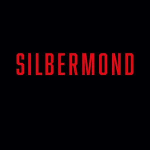 Silbermond - german pop band photo
