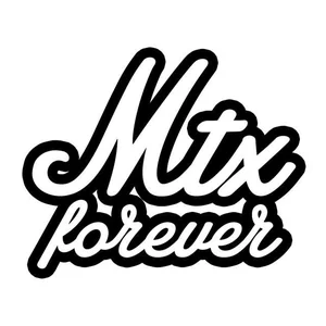 The Mr. T Experience - skate punk band photo