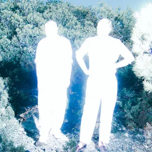 Soulwax - electroclash band photo