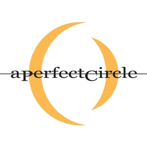 A Perfect Circle - alternative metal band photo