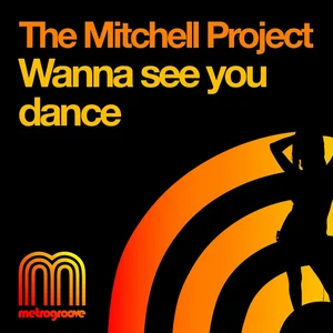 The Mitchell Project - funky house band photo