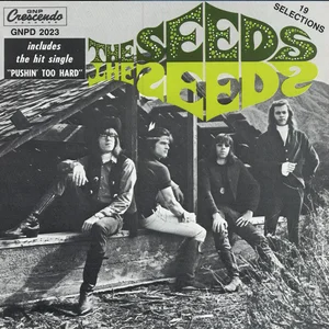 The Seeds - proto-punk band photo