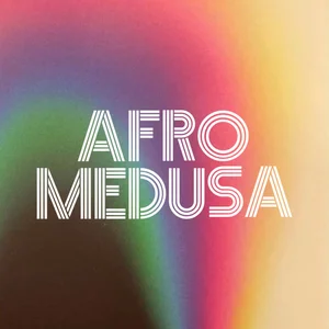 Afro Medusa - latin house band photo