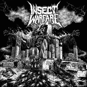 Insect Warfare - grindcore band photo