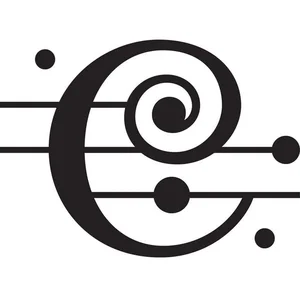 Chicago Symphony Orchestra - classical band photo