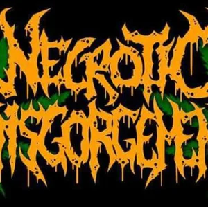 Necrotic Disgorgement - death metal band photo