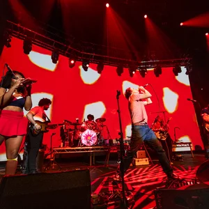 The Go! Team - plunderphonics band photo
